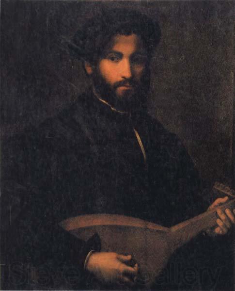 CAMPI, Giulio Portrait of a Gentleman with Mandolin Germany oil painting art